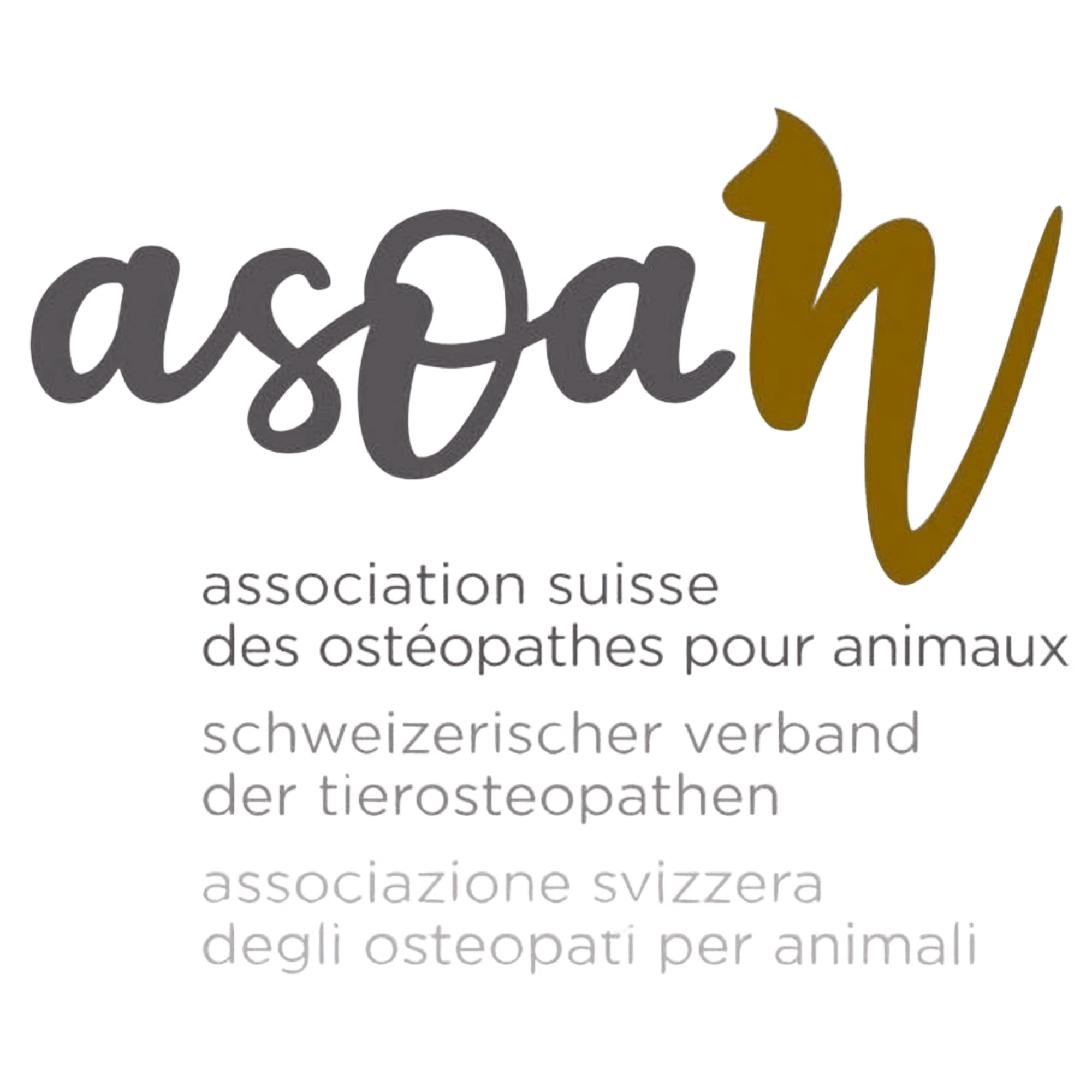 Logo de l'ASOAn, Association suisse des ostéopathes pour animaux